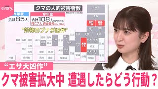 【なるほどッ！】“エサ大凶作”  クマ被害拡大中  遭遇したらどう行動？