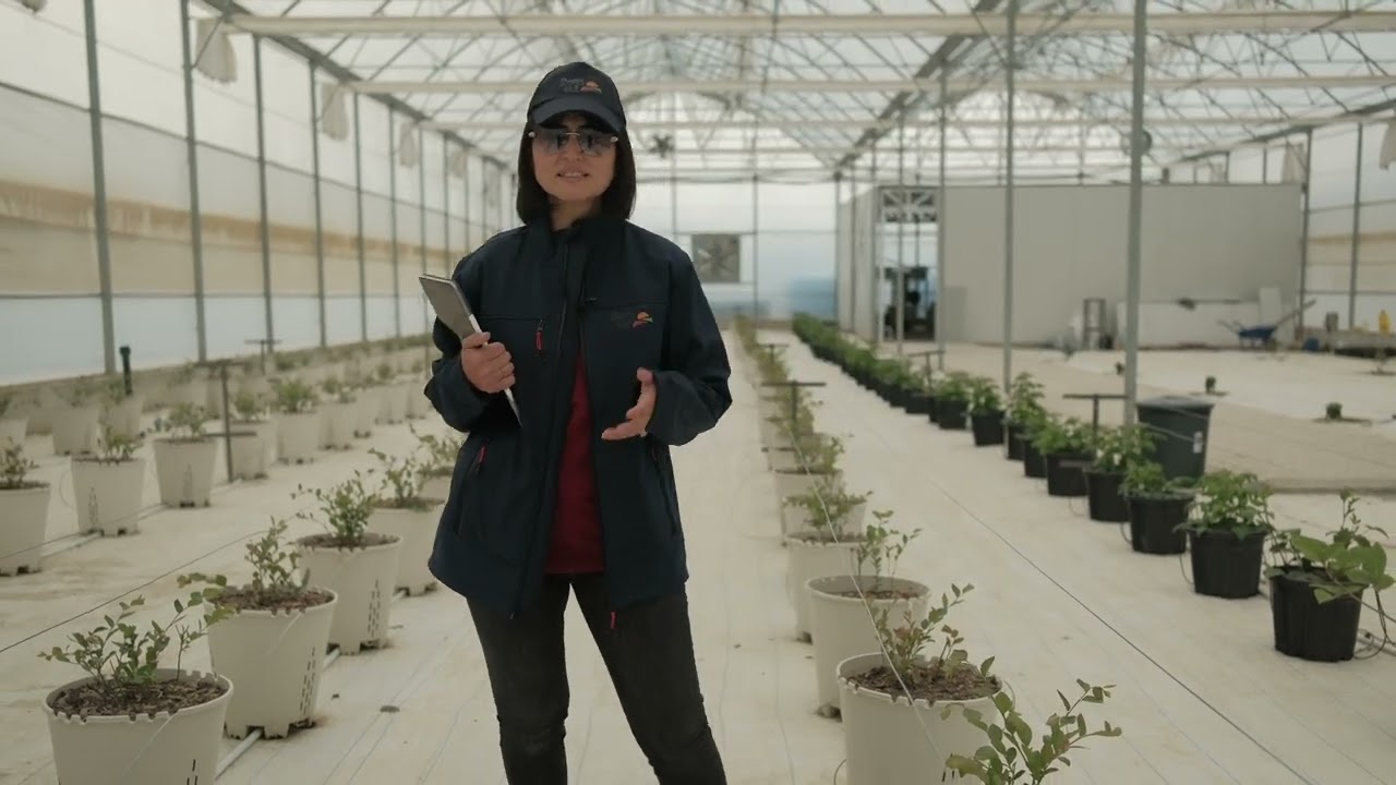 Berry Hill Çiftliği | Ar-Ge Seramızda Neler Oluyor? 🍓🧪