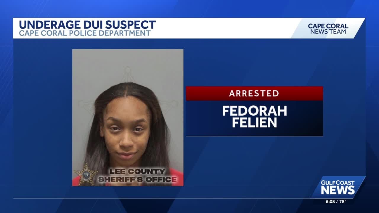 Woman faces DUI charge after being accused of driving the wrong way in ...