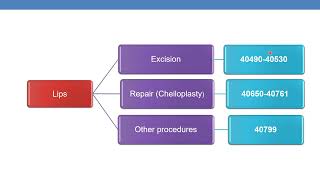2023 CPT CODING GUIDELINES FOR SURGERY – Digestive System Part 1