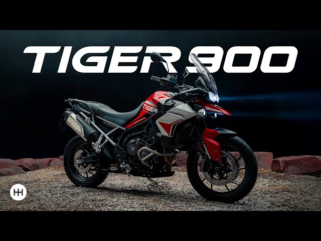 Video: Quase 100 cv! 😱 Aceleramos a TRIUMPH TIGER 900 GT ARAGÓN