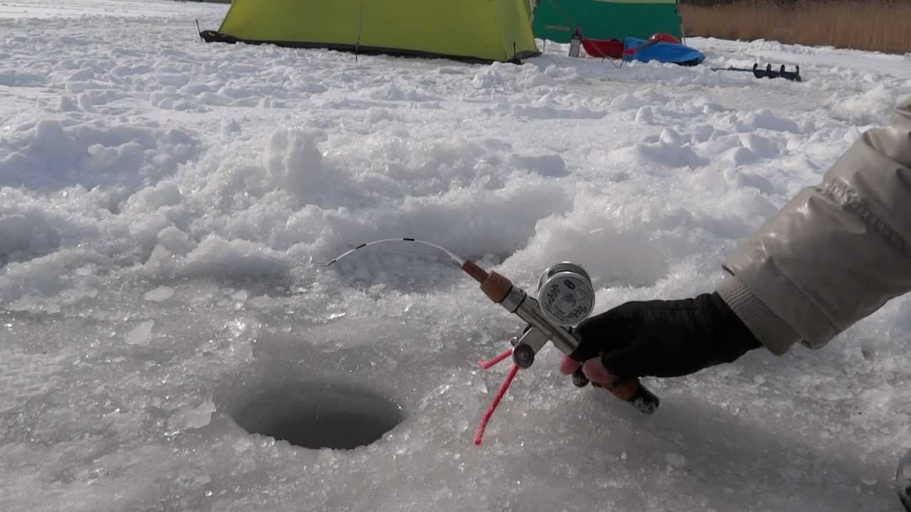 釧路の川でワカサギ釣り チカ釣り 北海道釧路町 Ice Fishing In Kushiro Hokkaido Youtube