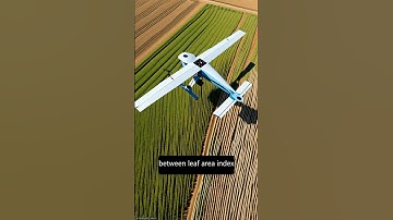 Acquisition of NIR-Green-Blue Digital Photographs from Unmanned Aircraft for Crop Mon... | RTCL.TV