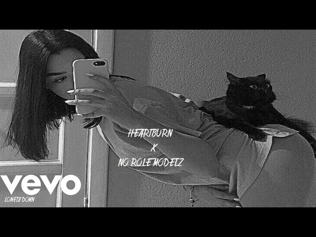 Heartburn x No Role Modelz [slowed]