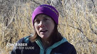 Discover Hueco Tanks