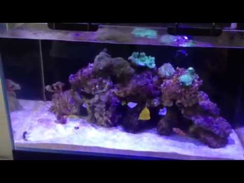 maxspect r420r led system