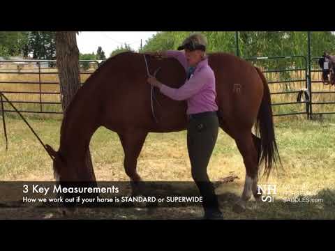 Flexicurve Ruler Natural Horseman Saddles