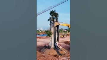 Trồng cây công trường Danko Riverside Bắc Giang