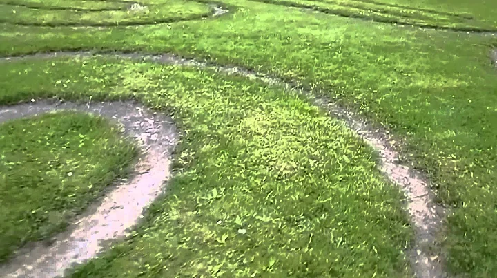 Labyrinths - Turf, Troy Town and Julian's Bowers