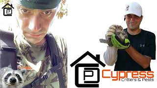 Squirrel Escape | Cypress Critters and Pests