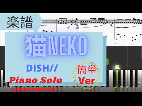 猫 (中級) - DISH//