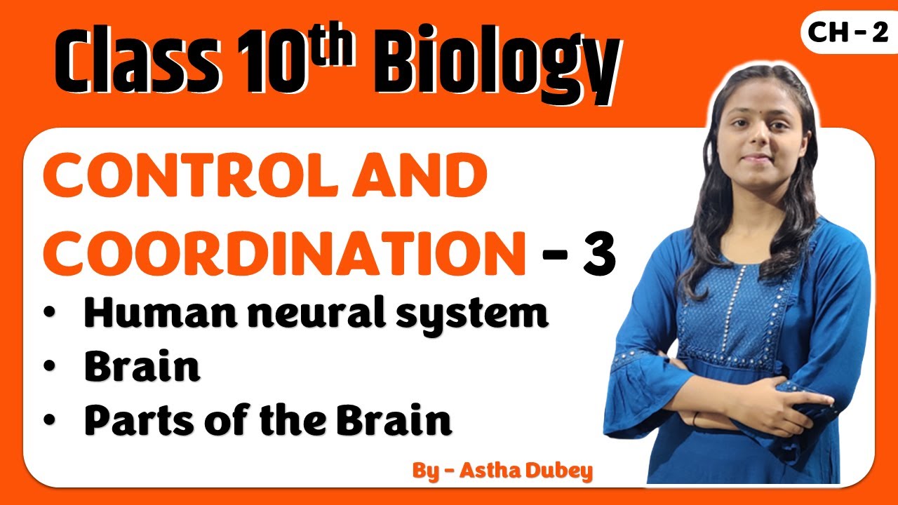 Class 10th biology | Control and Coordination in Animals and Plant | By ...