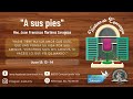 Ventana de Esperanza - "A sus pies"