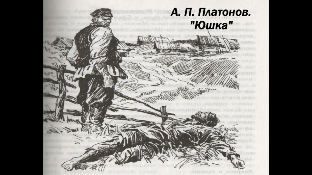 Жанр произведения юшка платонов. Юшка иллюстрации. Юшка Платонов. Юшка Платонов иллюстрации. А.П.Платонов. Рассказ «юшка».