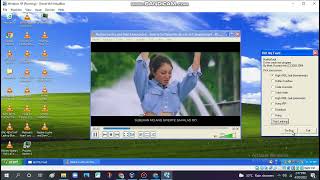 Scratch It Jingle Has Bsod Vm Windows Xp