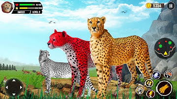 Wild Cheetah Family Simulator Cheetah Animal Games Android Gameplay #9 Dishoomgpyt