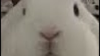 Lily Is Back After A Break