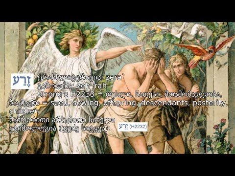 ვიდეო: სად გააშენა ღმერთმა ედემის ბაღი?