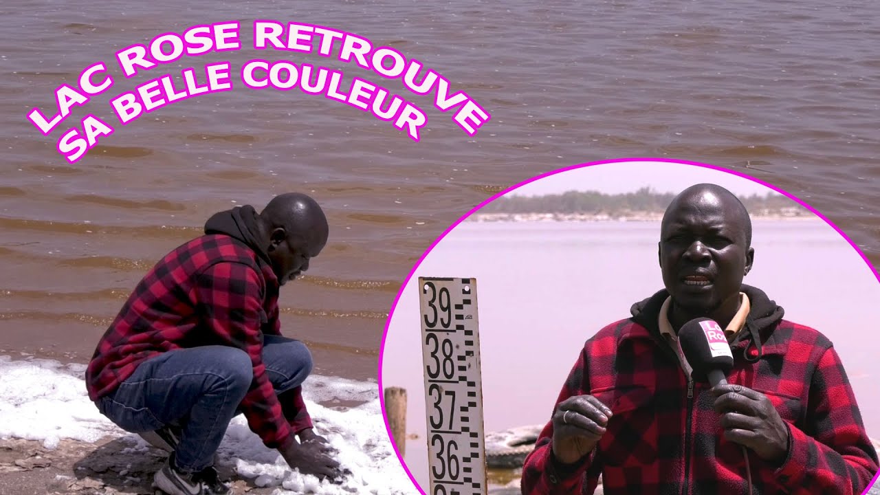 REPORTAGE : LAC ROSE RETROUVE SA BELLE COULEUR