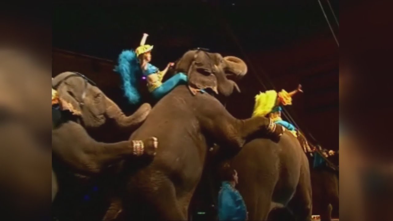 Shrine Circus Interview AM 2-7-15 - YouTube