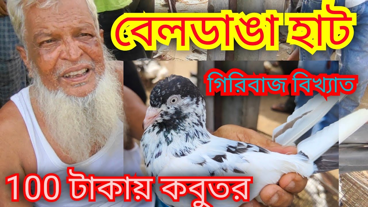 গিরিবাজ বিখ্যাত বেলডাঙ্গা হাট। মুর্শিদাবাদ পায়রার হাট