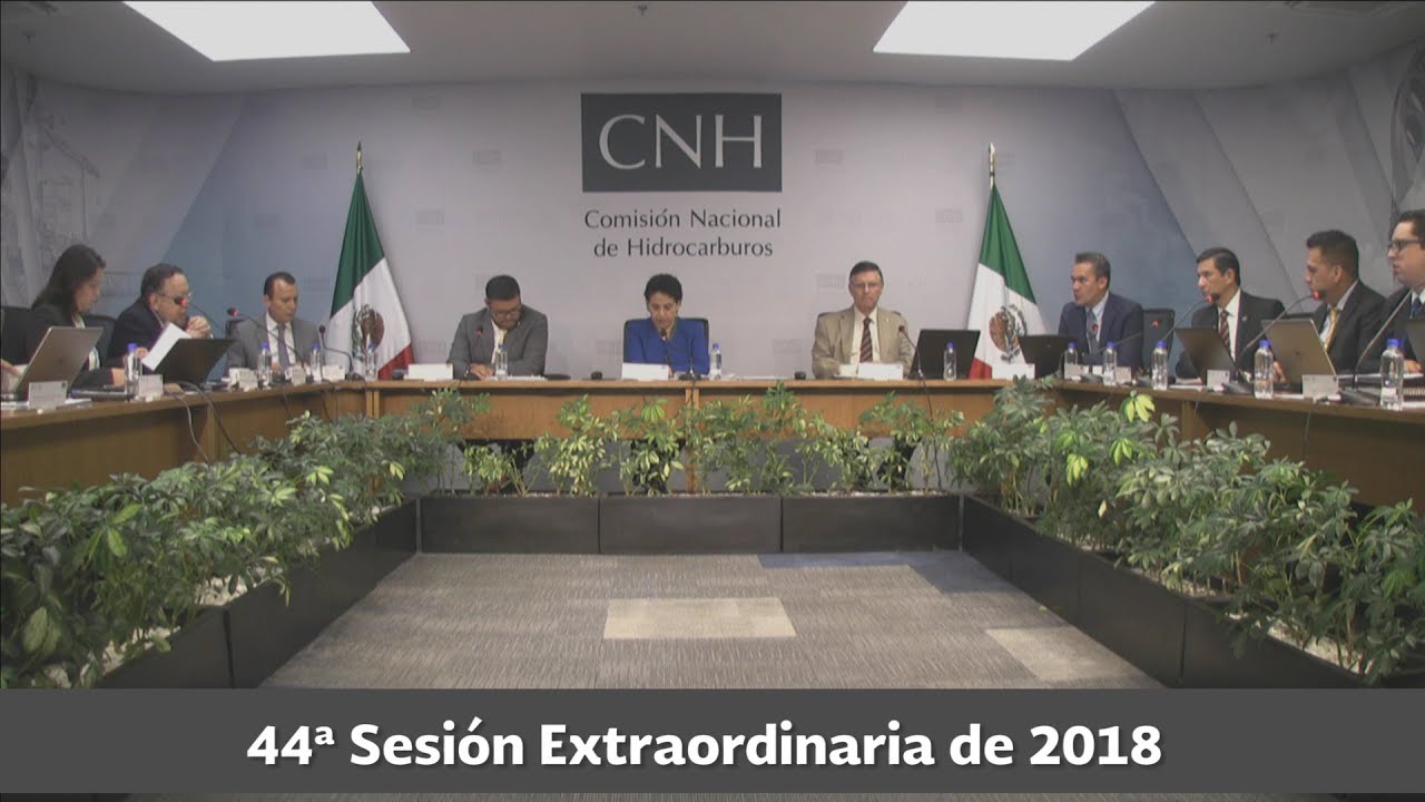 Resumen 44ª Sesión Extraordinaria 2018 cnhl