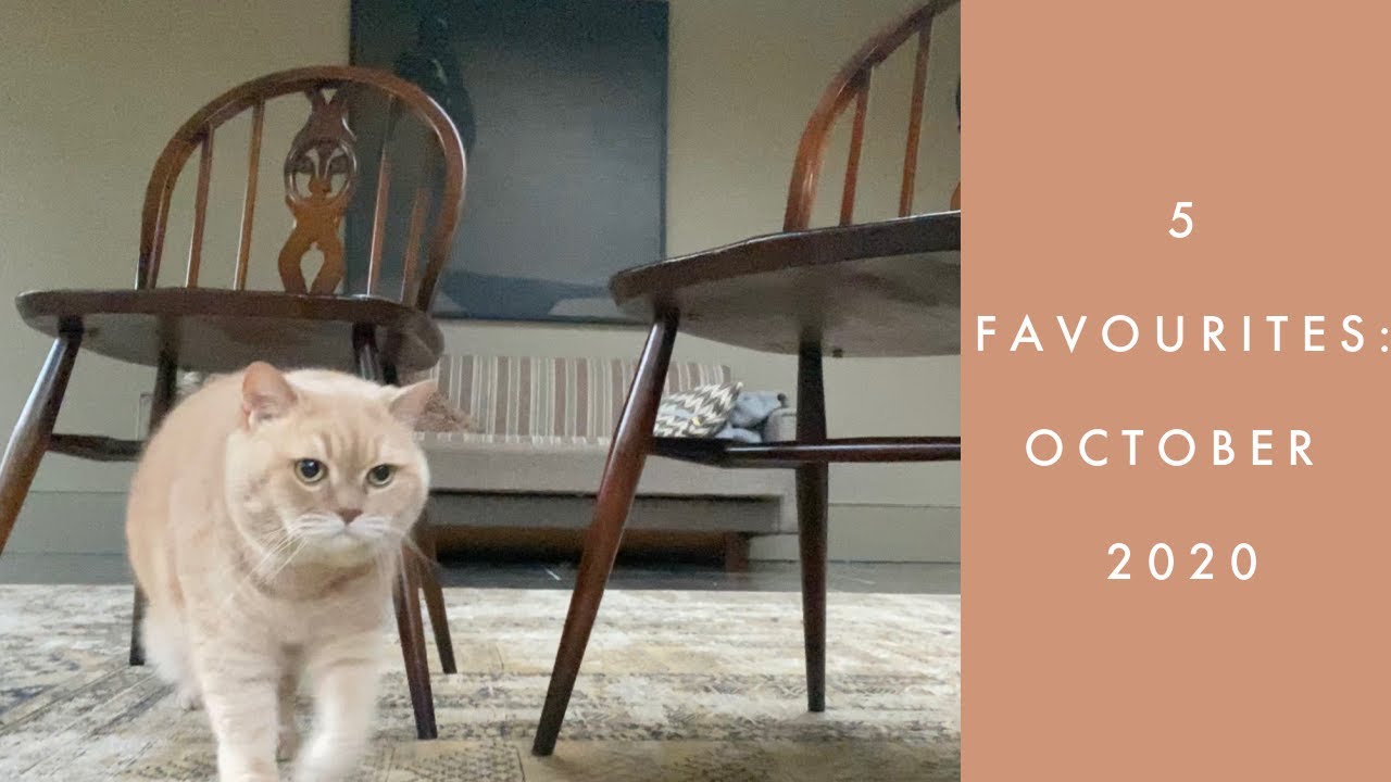 5 Favourites: October 2020
