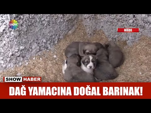 Dağ yamacına doğal barınak!