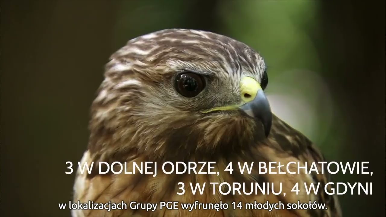 Energia rytmu natury