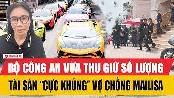 Nóng: Bộ Công an vừa thu giữ số lượng tài sản “cực khủng” vợ chồng Mailisa