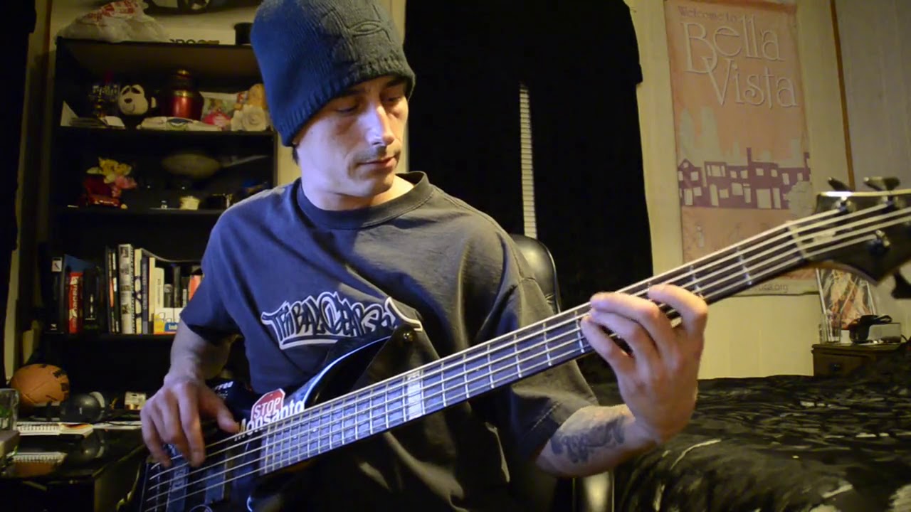 Red Hot Chili Peppers By The Way (Bass Cover) YouTube