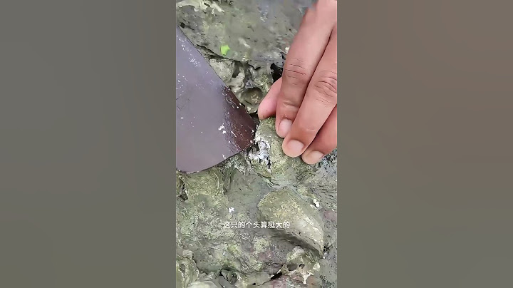 戶外趕海：長在礁石上的生蠔雖然個頭小，現撬現吃味道真的爽歪歪 #大海的饋贈 #真實戶外 #趕海 #野生海鮮 #戶外趕海抓海鮮