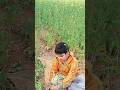 field visit with papa#village #newsong #song #music