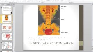 Celebrity Urinary System - Part 5, Fluids, Electrolytes and Acid-Base - Part 1 Wealth