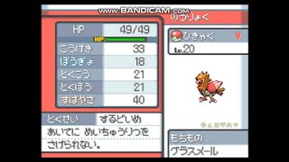ひきゃくとの出会い ポケモン ハートゴールド ソウルシルバー Youtube ひきゃくとの出会い ポケモン ハートゴールド ソウルシルバー Youtube