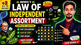 🔴LAW OF INDEPENDENT ASSORTMENT |CLASS XII| INHERITANCE AND VARIATIONS