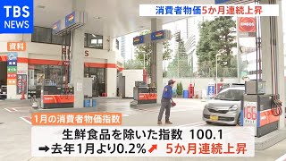 １月の消費者物価0.2％上昇 ５か月連続で上昇