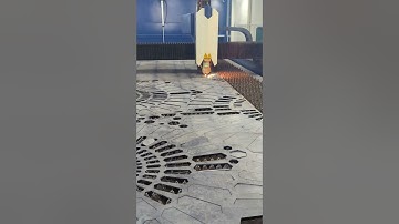 cnc laser cutting ms sheet cutting fiber steel