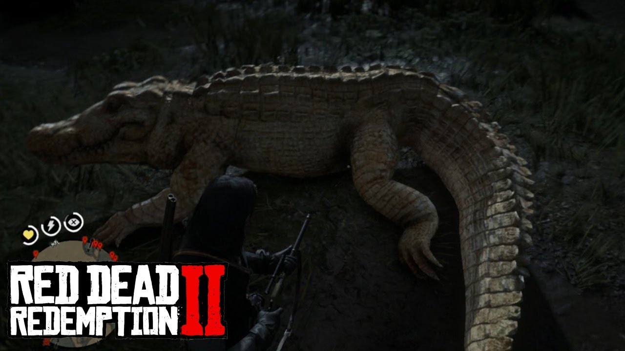 Легендарный аллигатор в рдр 2. Легендарный крокодил rdr 2. РДР 2 легендарный Аллигатор.