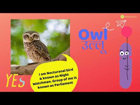 Birds Name For Kids in Hindi & English with interesting fun facts