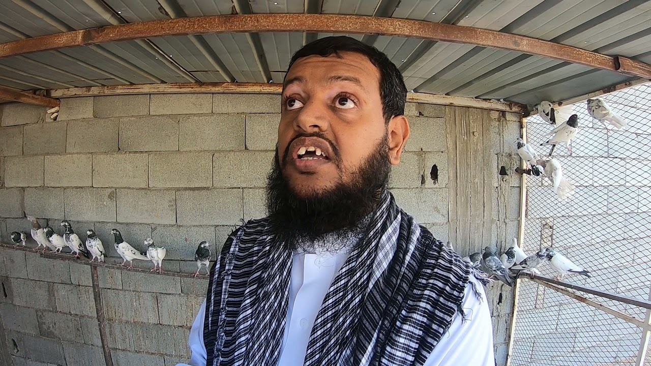 الحلقه الثانيه مع الأستاذ سامي المحمودي#طيور #تيدي #حيوانات_أليفة