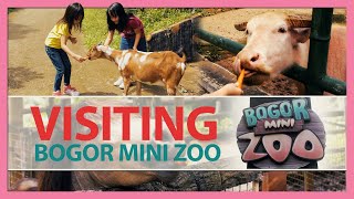 Visiting Bogor Mini Zoo, Bogor | Toy Joy Channel