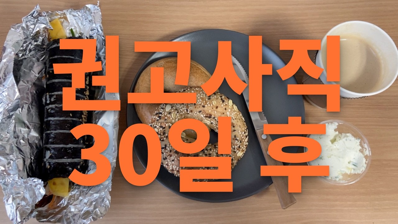 [퇴사브이로그] 권고사직 후 30일이 지났다.