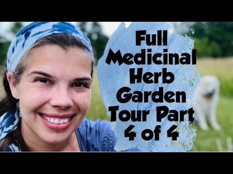 Tur complet al grădinii cu plante medicinale Partea 4 din 4