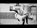 Dmonstration diwama takemusu aikido  ajaccio  kinen