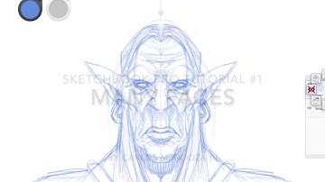 SKETCHBOOK PRO QUICK SKETCH TUTORIAL 01