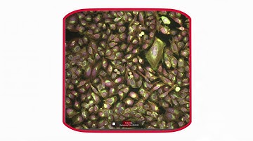 How to set up multiple fluorescent dyes for sequential imaging