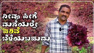 udayavani youtube