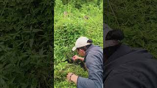 Download Lagu Mancjng di spot perawan ting-ting‼️😅 #mancing #surkatim #fishing #surganyapemancing MP3