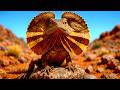WILD AUSTRALIA | Camouflage That Chooses the Victim
